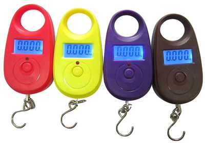 Generic Mini Digital Scale 25Kg 5g Electronic Fishing Weight Pocket Luage  Scales